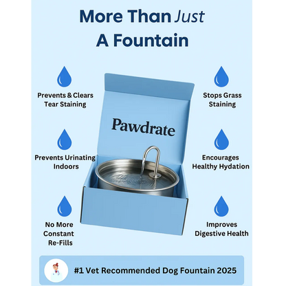 Pawdrate™ Filtered Water Fountain