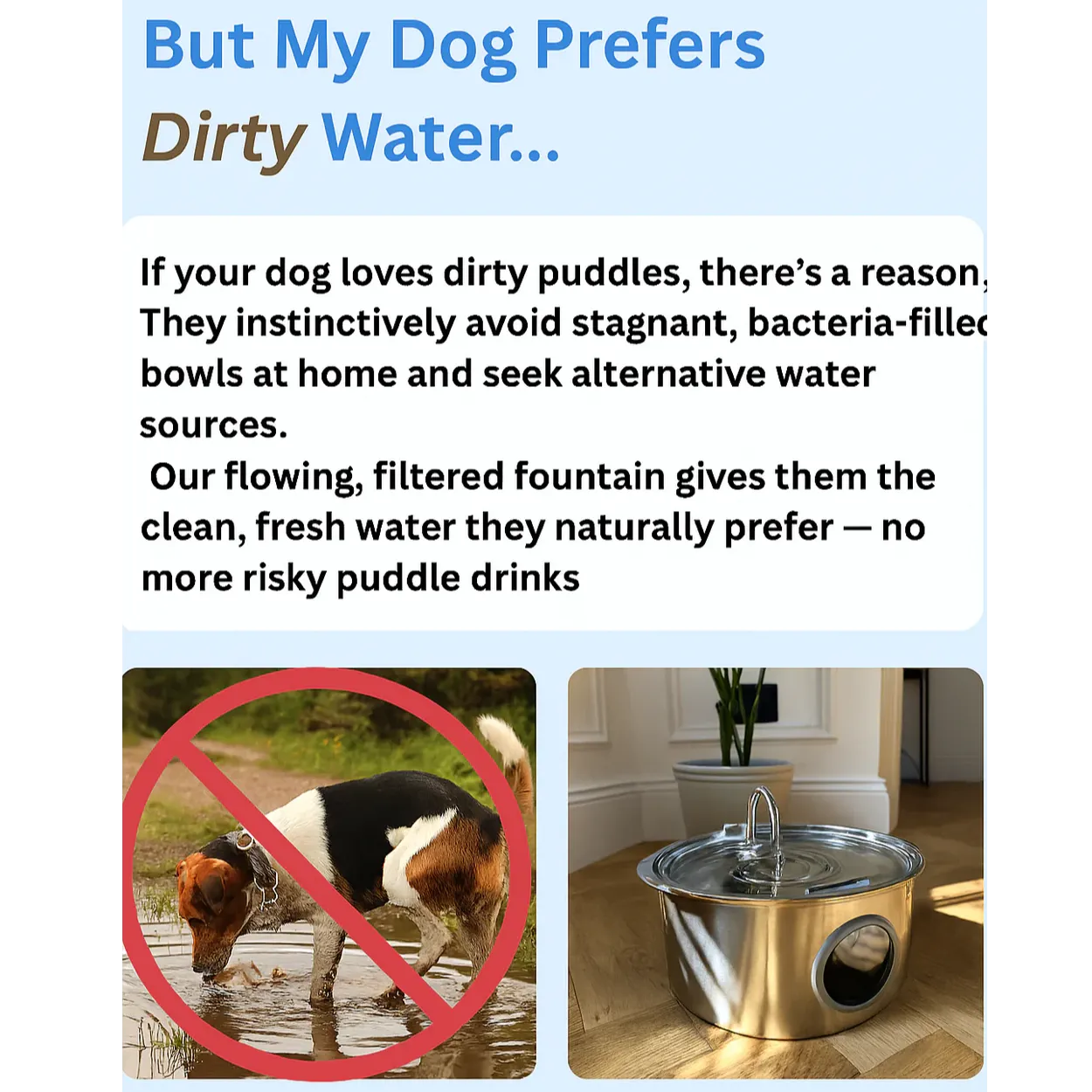 Pawdrate™ Filtered Water Fountain