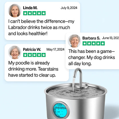 Pawdrate™ Filtered Water Fountain