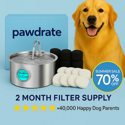 Pawdrate™ Filtered Water Fountain