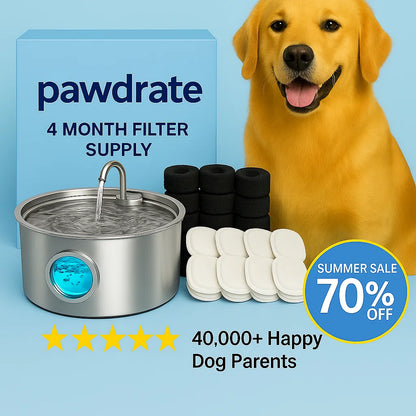 Pawdrate™ Filtered Water Fountain