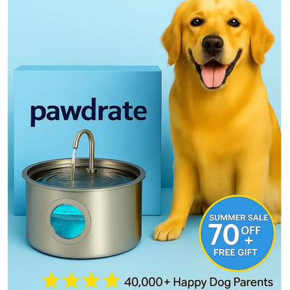 Pawdrate™ Filtered Water Fountain